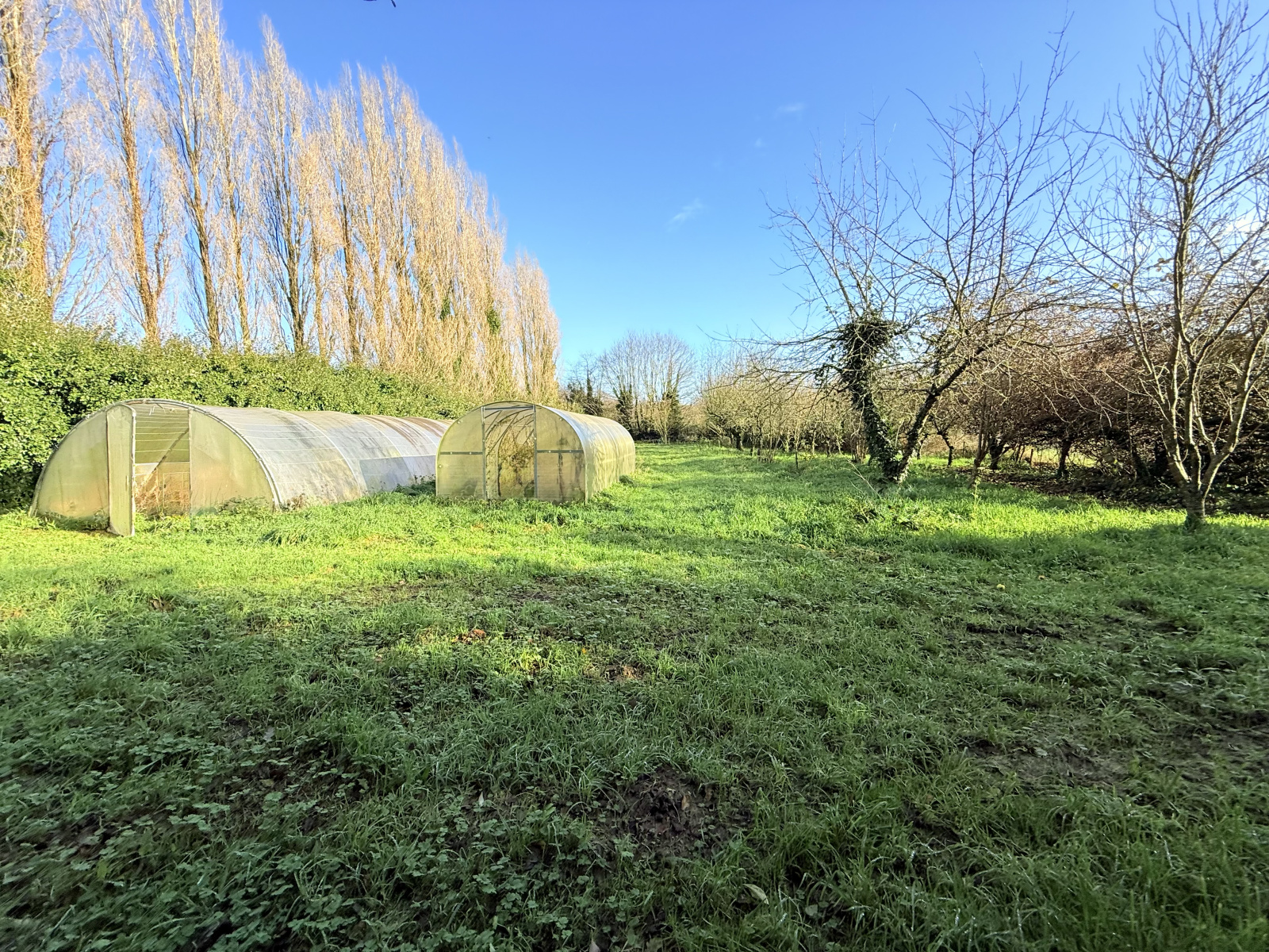 Image_, Maison, Guiclan, ref :232