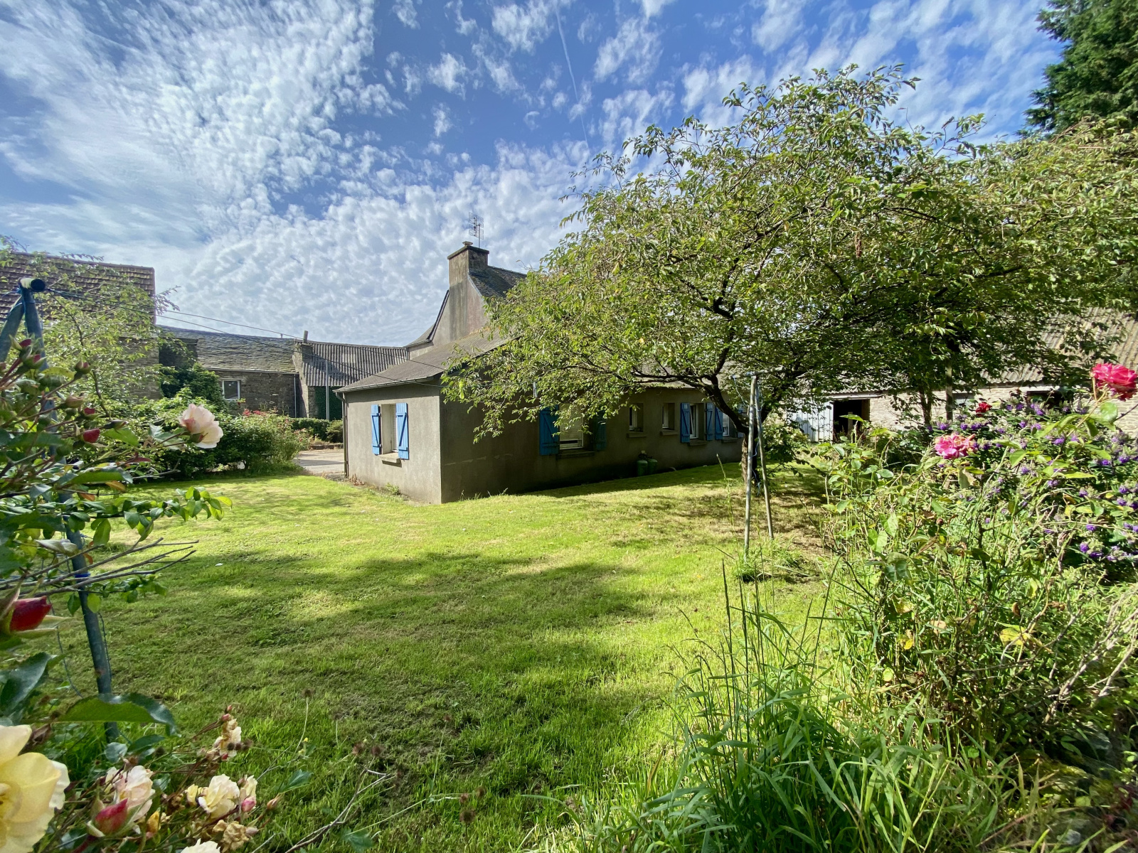 Image_, Maison, Saint-Sauveur, ref :694