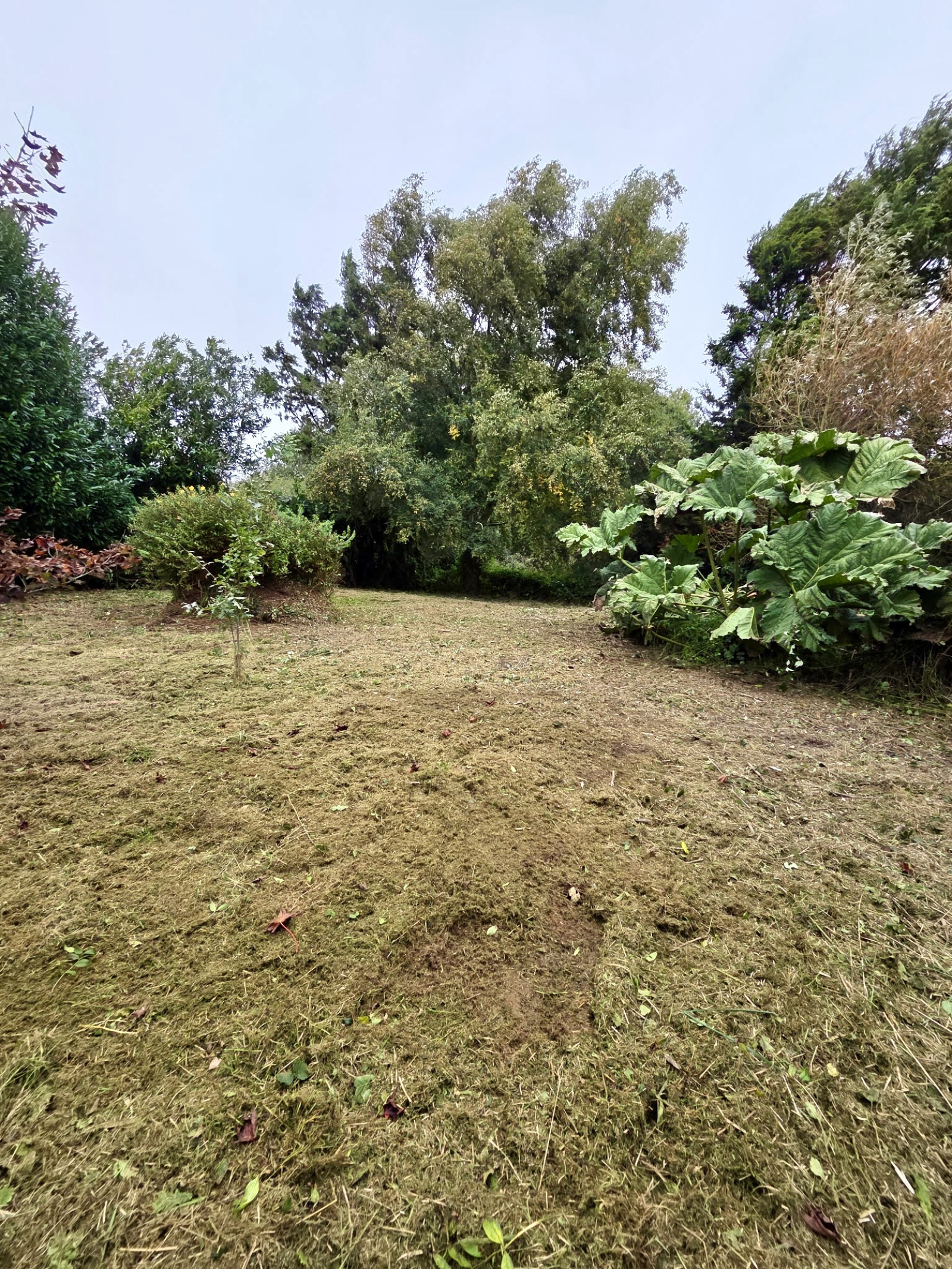 Image_, Appartement, Cléder, ref :748